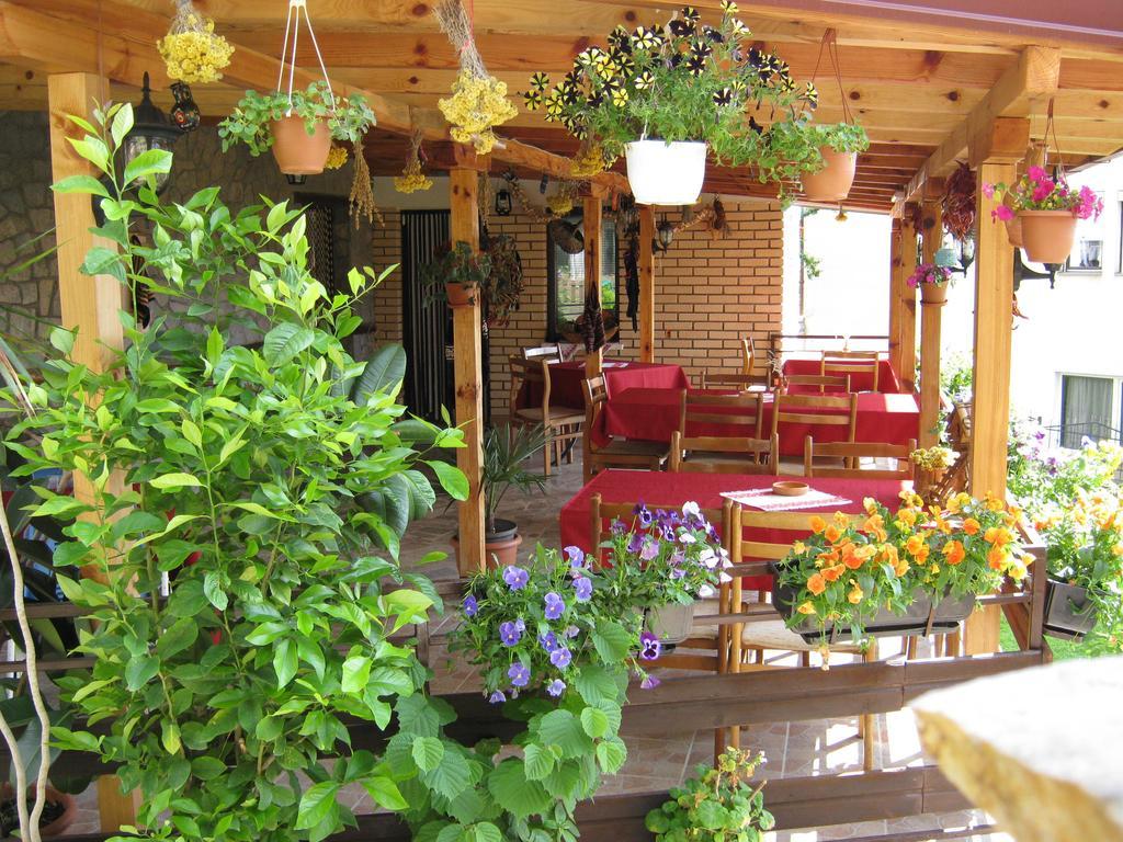 Risto'S Guest House Elshani Exterior photo