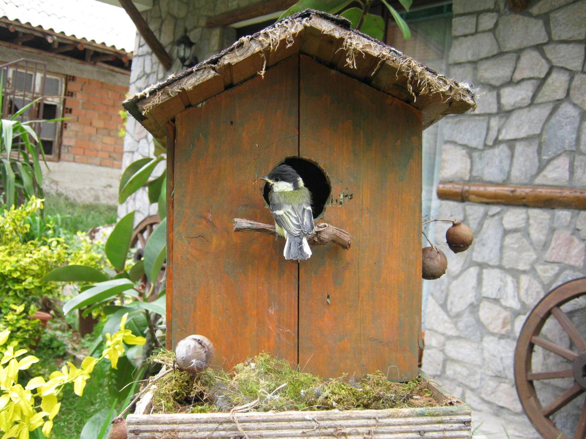 Risto'S Guest House Elshani Exterior photo