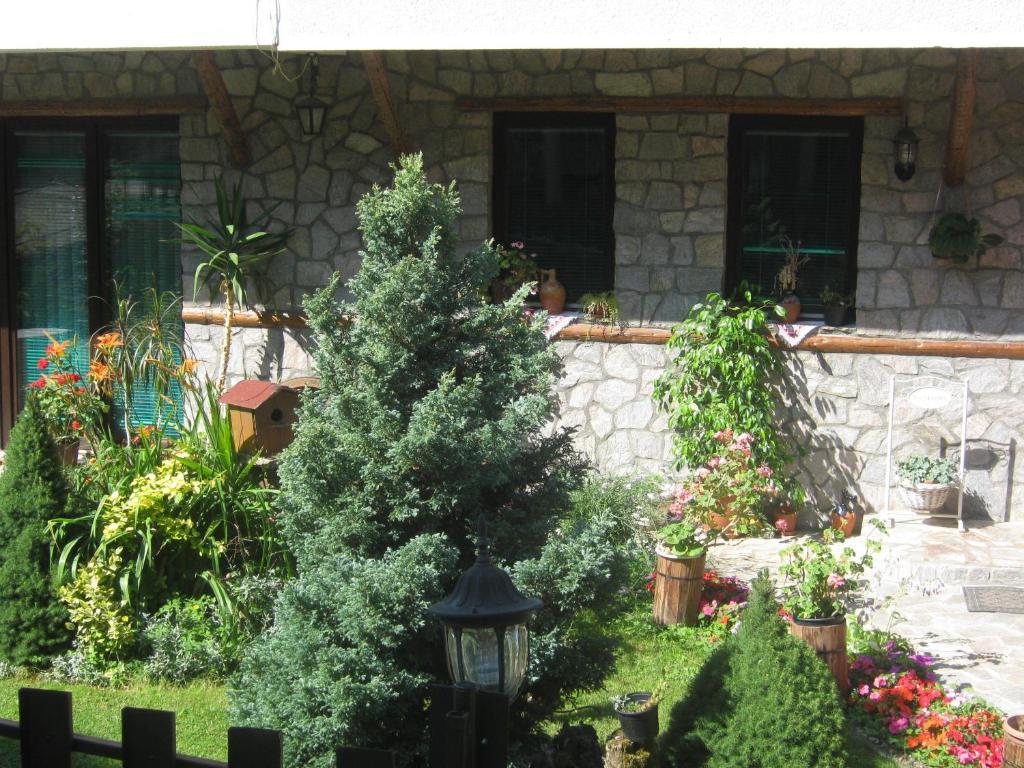 Risto'S Guest House Elshani Room photo