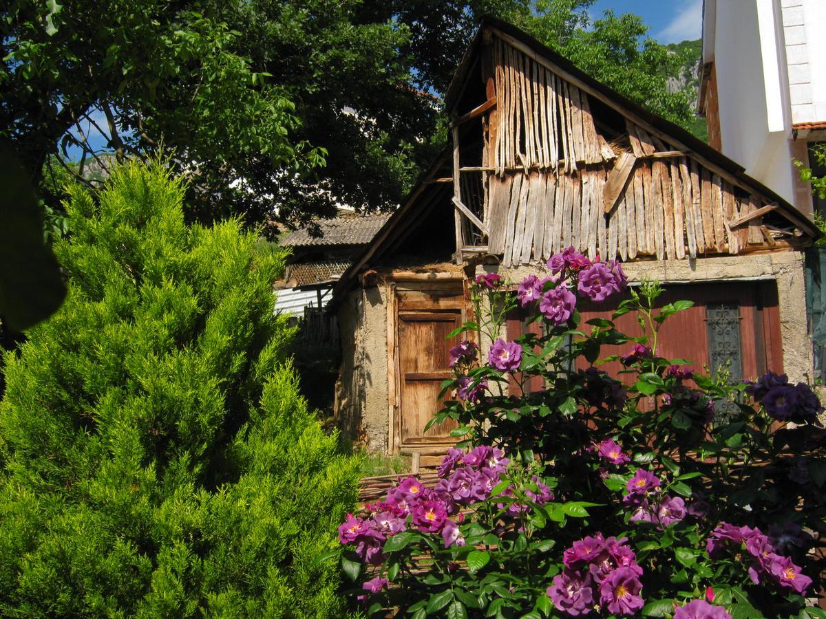 Risto'S Guest House Elshani Exterior photo