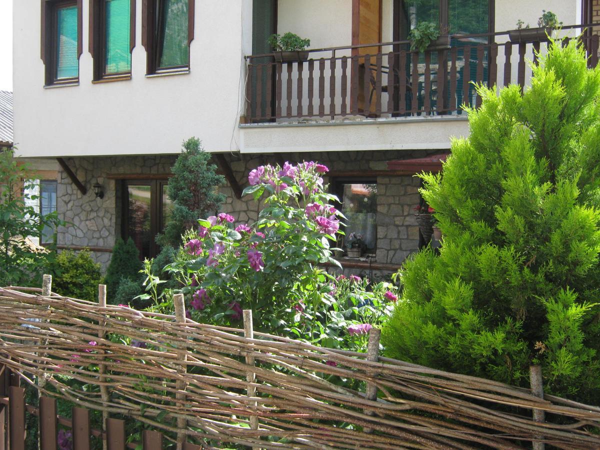 Risto'S Guest House Elshani Exterior photo